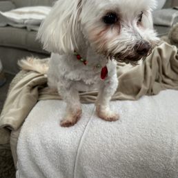 Chloe with her blingy necklace