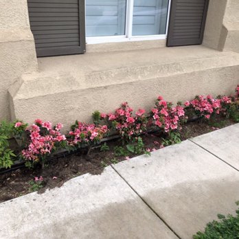 Barrons Gardening Service - Gardeners Near Me Barrons Gardening Service - Gardeners Near Me