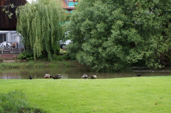 Hôtel des Berges et Spa des Saules [Haeberlin] by null