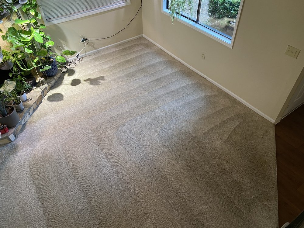 3 REASONS CARPET CLEANING Updated August 2024 5027 Grist Mill Dr