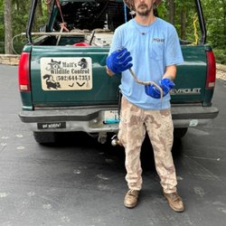 Matts Wildlife Control