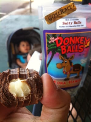 The Original Donkey Ball Store by null