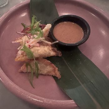 LOV McGill - Dumpling appetizer - Vegan Near Me - Montreal, Quebec