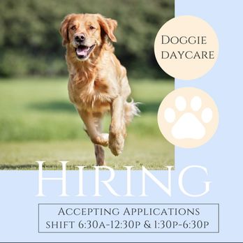 K9 Clips And Kennel - Pet Groomers Near Me - Vinton, Virginia K9 Clips And Kennel - Pet Groomers Near Me - Vinton, Virginia