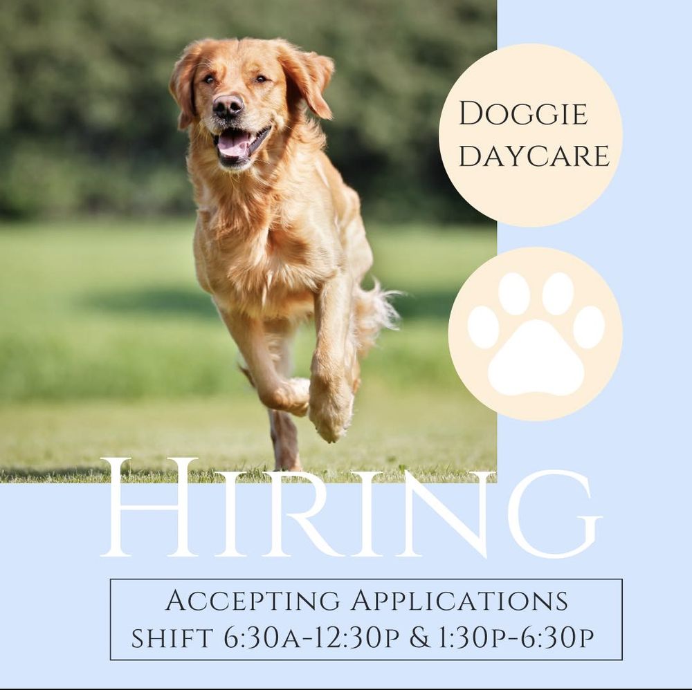 K9 CLIPS AND KENNEL Updated June 2024 2104 Hardy Rd, Vinton