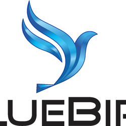 Bluebird Express Car Wash