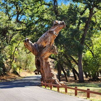 Clear Lake State Park - Parks Near Me - Kelseyville, California Clear Lake State Park - Parks Near Me - Kelseyville, California