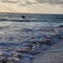 Photo of Nistler Travel