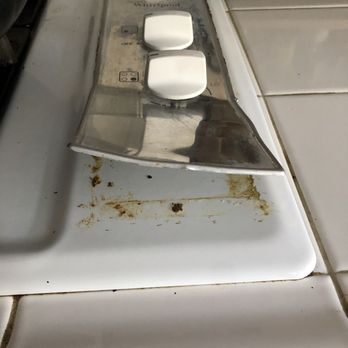 Mint to Clean - Home Cleaning Near Me