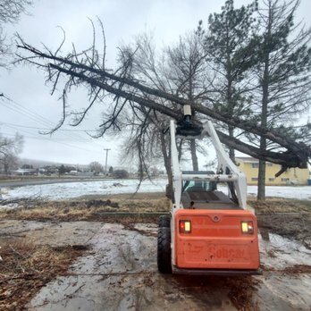 Rusty Wood Construction - Tree Services Near Me Rusty Wood Construction - Tree Services Near Me