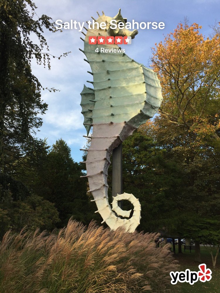 SALTY THE SEAHORSE Updated September 2024 38 North St, Mattapoisett