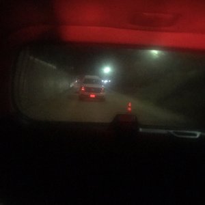 THE SCREAM ZONE - 80 Photos & 138 Reviews - Haunted Houses - 2260 Jimmy