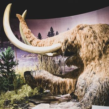 Indiana State Museum - Museums Near Me - Indianapolis, Indiana Indiana State Museum - Museums Near Me - Indianapolis, Indiana
