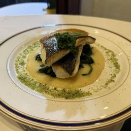 Sea bass!