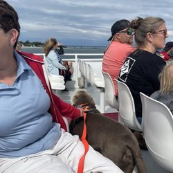 Shepler's Mackinac Island Ferry