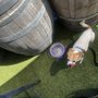 Village Animal Hospital