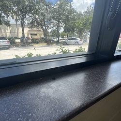 Wendy's - One of many dead flies in the window seals