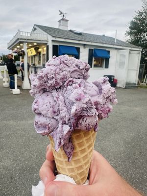 Blueberry Hill Dairy Bar by null