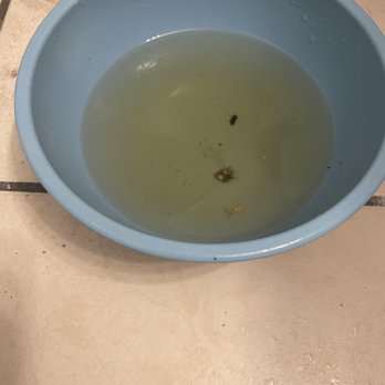 Homevest Realty - water leaking from my ceiling - Property Management Near Me - Orlando, Florida Homevest Realty - water leaking from my ceiling - Property Management Near Me - Orlando, Florida