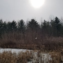 Lowe-Volk Nature Center - Hike the 1.5 mile trail.