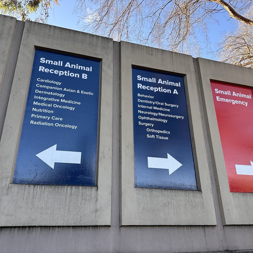 TOP 10 BEST Emergency Vet in Napa, CA - Updated 2026 - Yelp