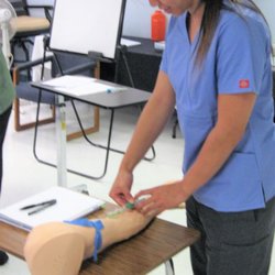 PhlebotomyU - Students practicing on an artificial arm before starting on each other.