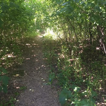 Wallace Park - Trails through the wooded area - Parks Near Me - Apple Valley, Minnesota Wallace Park - Trails through the wooded area - Parks Near Me - Apple Valley, Minnesota