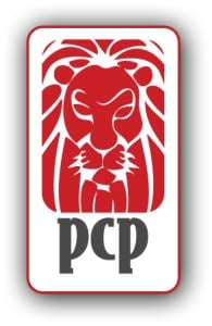 Professional Civil Process- Beaumont - disability attorney in Beaumont, TX