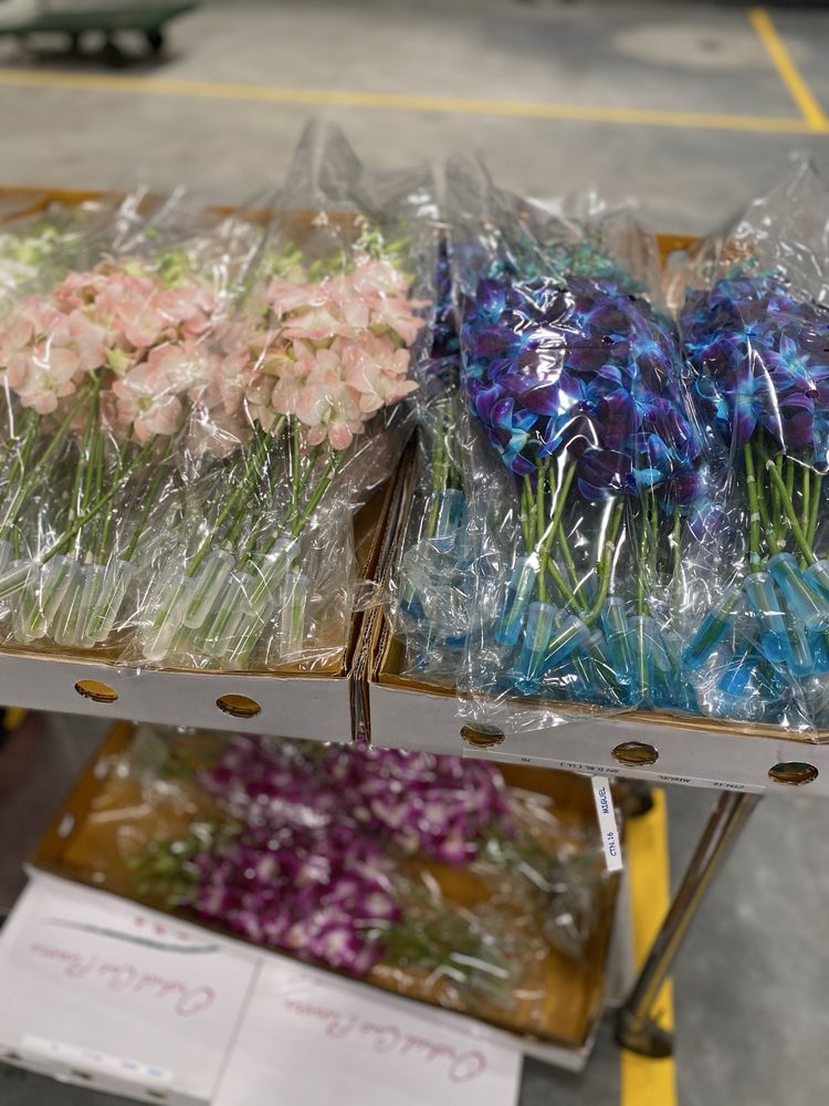 San Francisco Flower Market