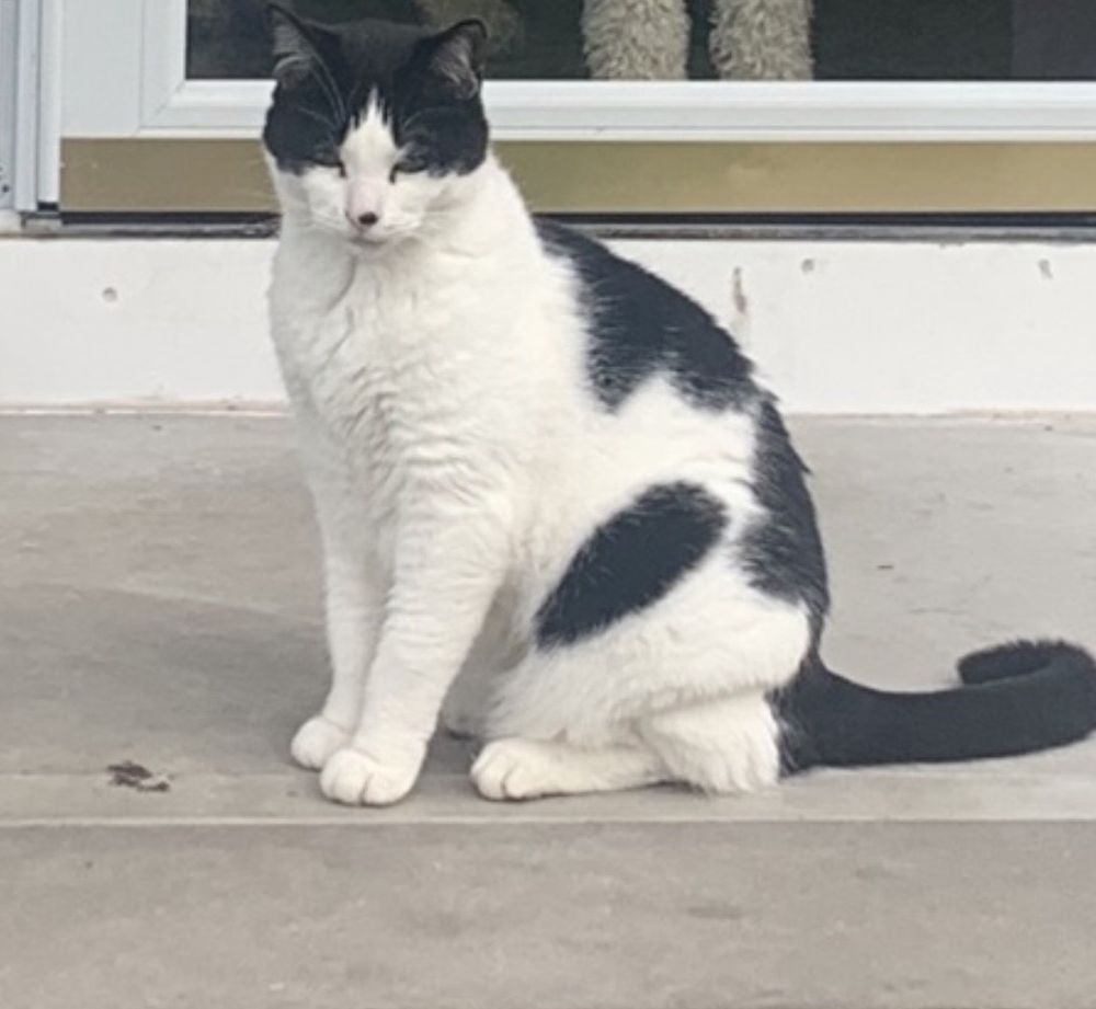 PEQUANNOCK ANIMAL HOSPITAL Updated September 2024 20 Reviews 591