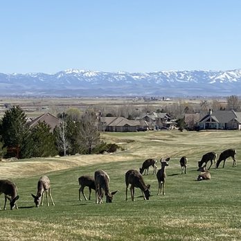 Genoa Golf Club - Golf Near Me - Genoa, Nevada Genoa Golf Club - Golf Near Me - Genoa, Nevada