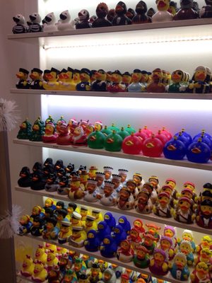 Amsterdam Duck Store by null