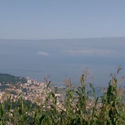 Dağmaran Restaurant