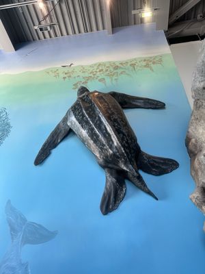 Monterey Bay National Marine Sanctuary Exploration Center by null