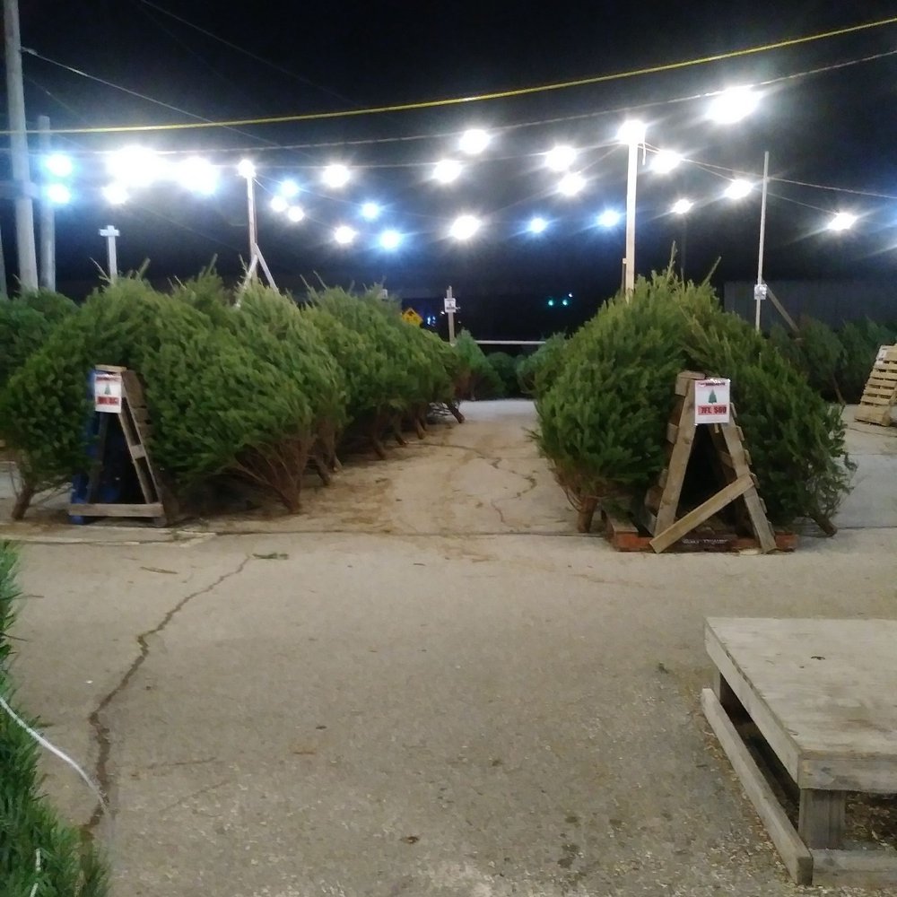 Kenny Alexander's Christmas Trees - Plenty of trees still left - Holiday Decorations Near Me - Hatboro, Pennsylvania