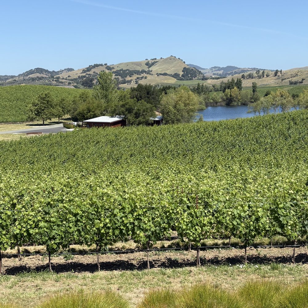 Cuvaison - Wineries Near Me - Napa, California