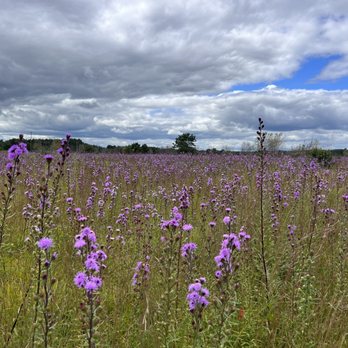 1. Kennebunk Plains Wildlife Management Area