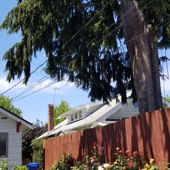 Wildwood Tree Care - Before... - Tree Services Near Me