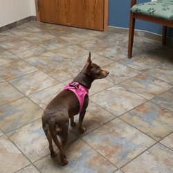 Pet Doctors Animal Clinic - My baby