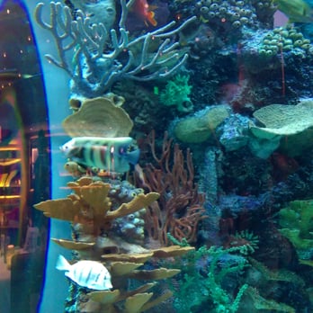 Chart House - Seafood Near Me - Las Vegas, Nevada Chart House - Seafood Near Me - Las Vegas, Nevada