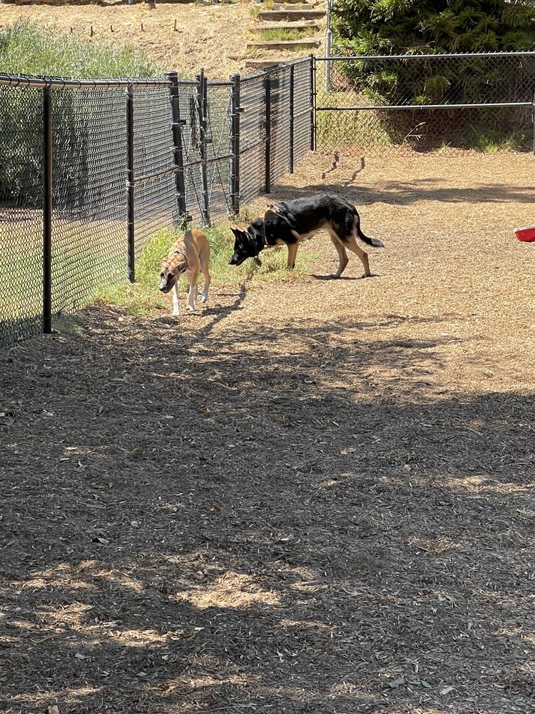 WOODGLEN VISTA DOG PARK Updated September 2024 60 Photos & 42