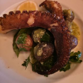 Che Fico Parco Menlo - Octopus - Italian Near Me - Menlo Park, California Che Fico Parco Menlo - Octopus - Italian Near Me - Menlo Park, California
