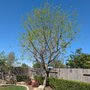 Photo of N & J Tree Service