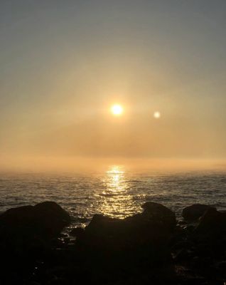 Hammonasset Beach State Park by null