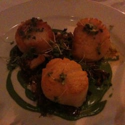 Scallops with oxtail marmalade & parsley purée