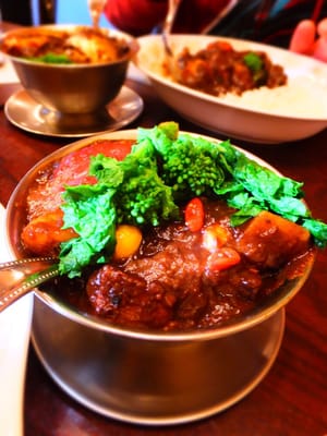 European Curry Tomato by null