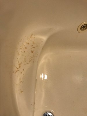 John Carver Inn & Spa by null