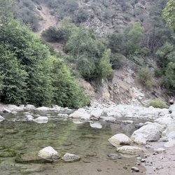 Santa Paula Punch Bowls