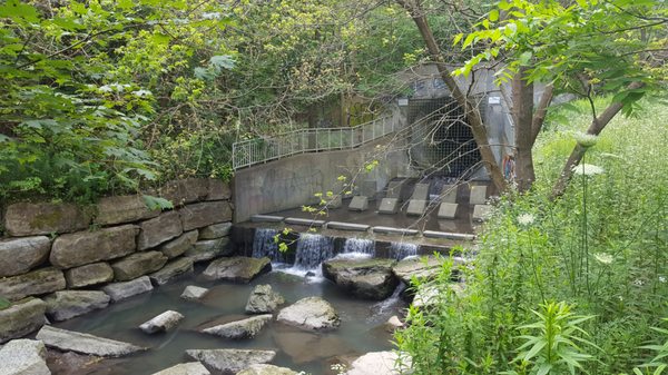 David A. Balfour Park by null