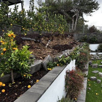 Evo Turf & Pavers - Wall collapse, all fruit trees died - Landscaping Near Me - San Diego, California Evo Turf & Pavers - Wall collapse, all fruit trees died - Landscaping Near Me - San Diego, California